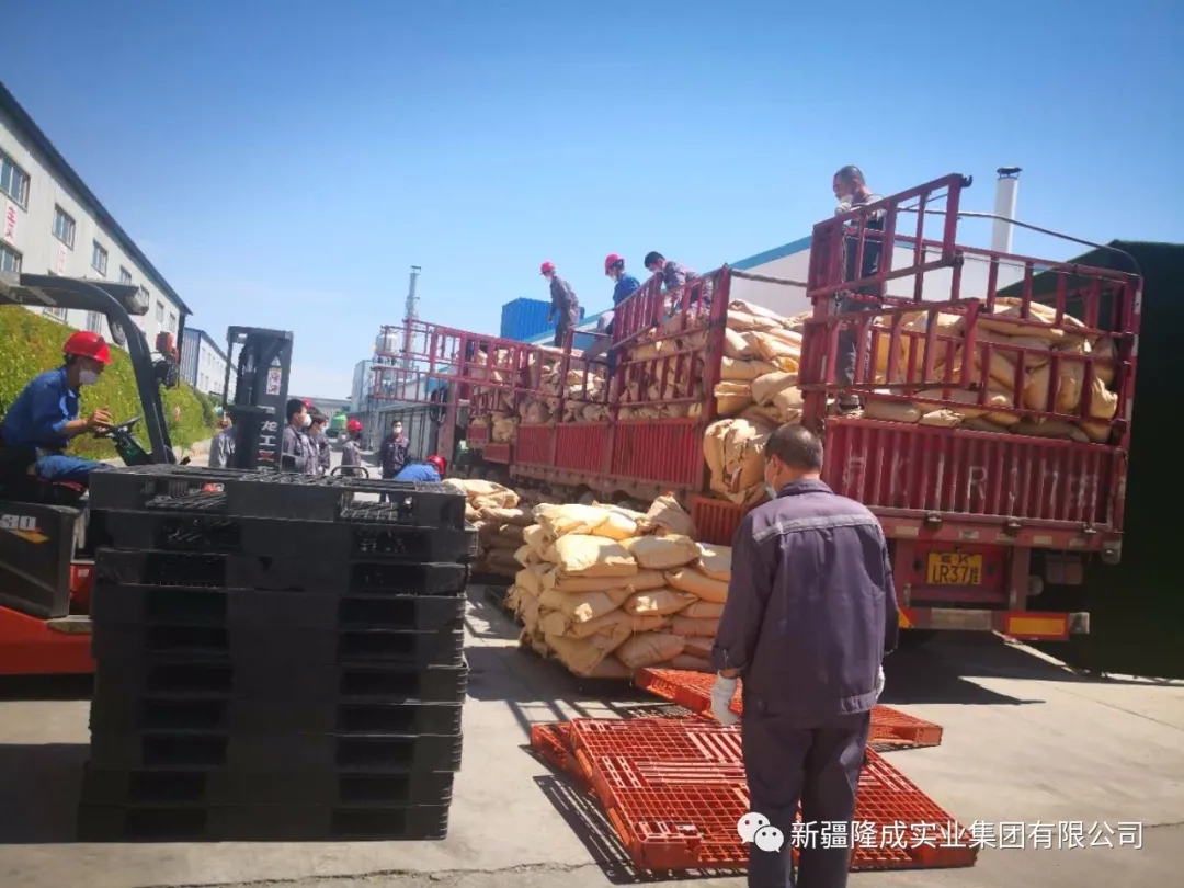 戰(zhàn)疫情，再出發(fā)